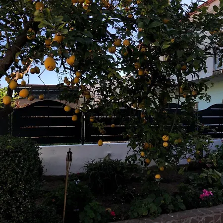 Paolo E Daniela Frühstückspension Carbonia